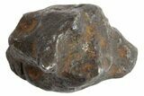 Sericho Pallasite Meteorite Metal Skeletons - Kenya - Photo 3
